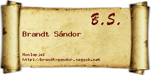 Brandt Sándor névjegykártya